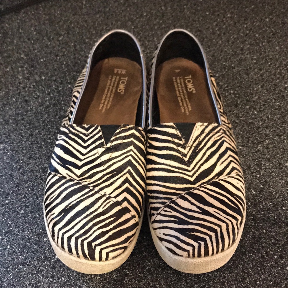 🦓 Toms Avalon 🦓